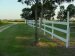 Fence/Fron