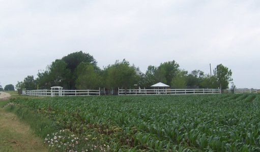 View From County Road 424